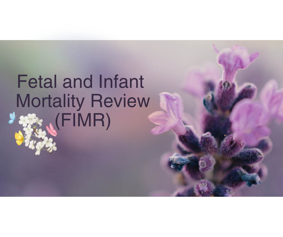 February 2026 Newsletter (6) FIRM Project