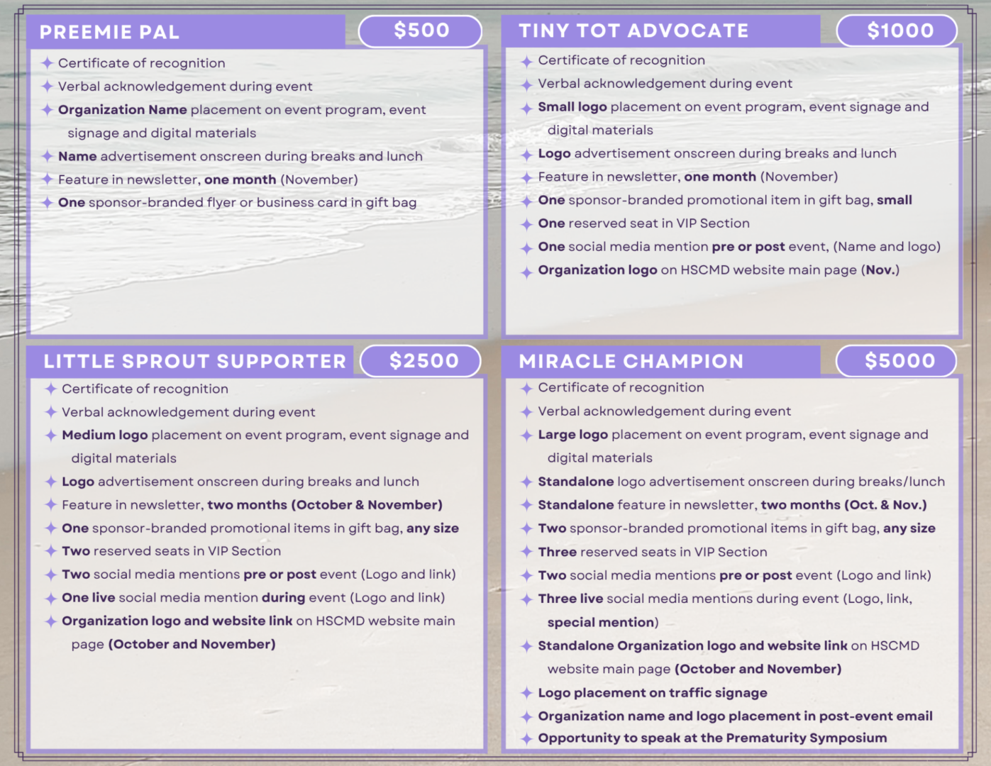 PS Sponsorship Package Landscape